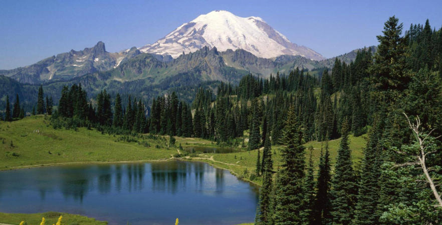 保健酒业有限公司轮播图2